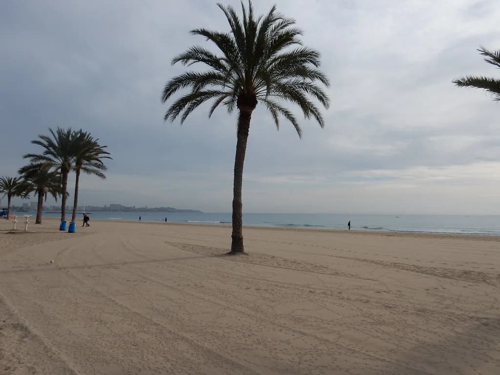 Alicante in July: Beach Guide and Heat-Smart Planning