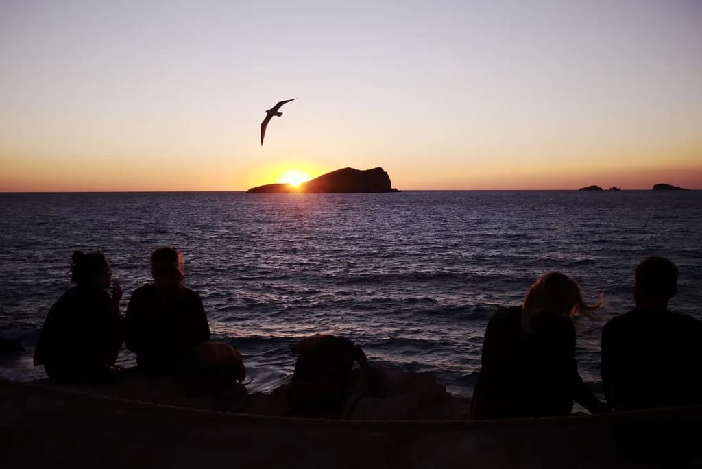 Best Paella in Ibiza: Where to Eat by Beach and Town