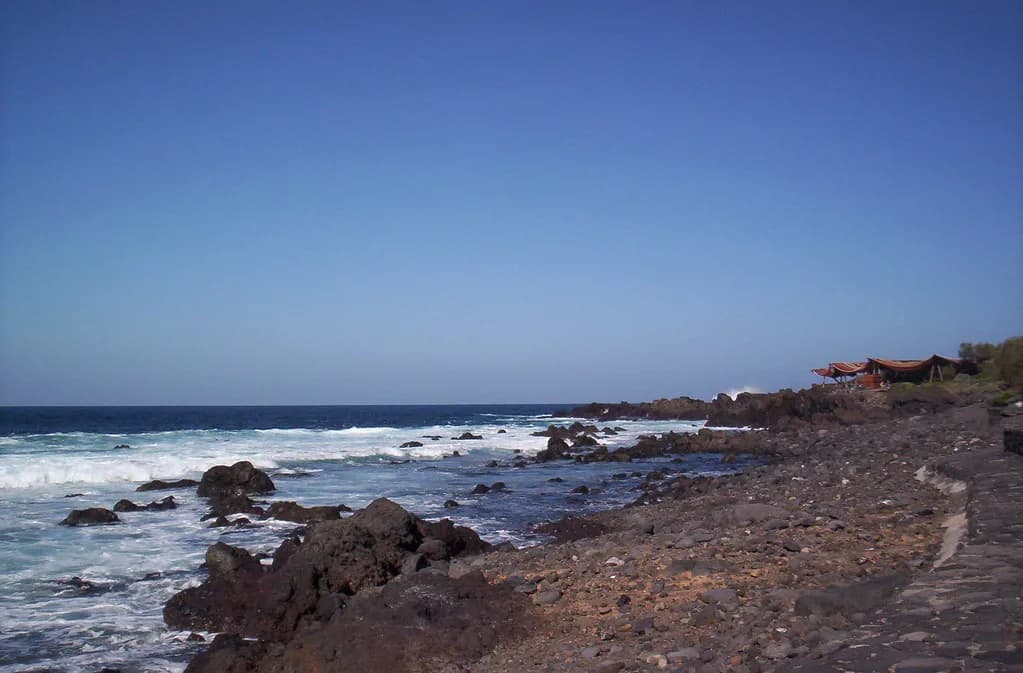 Best Paella in Tenerife: Where to Eat Rice Dishes by Area
