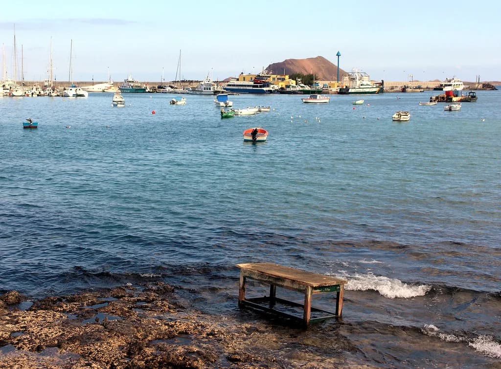 Best Restaurants in Fuerteventura: Where to Eat by Area