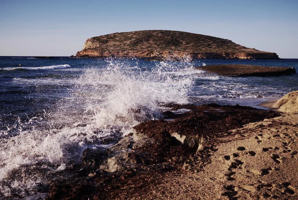 Best Restaurants in Ibiza: Where to Eat by Area