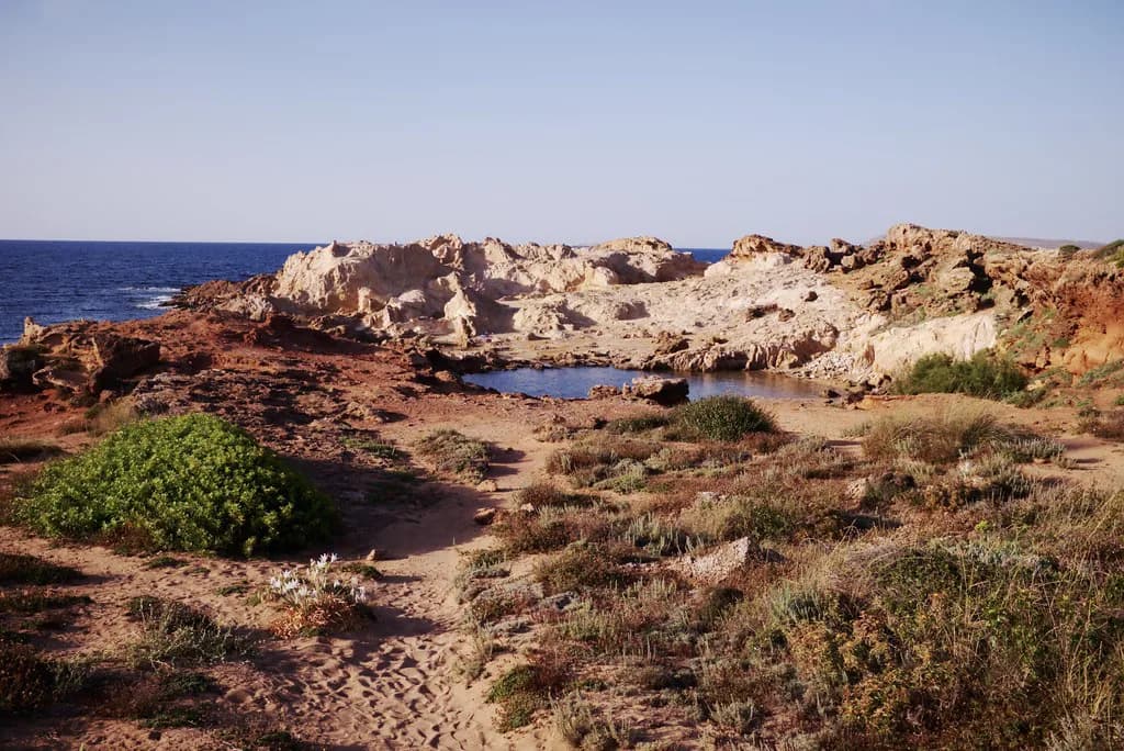 Best Restaurants in Menorca: Where to Eat by Area
