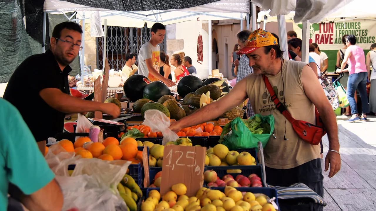 Best Restaurants in Tarragona: Where to Eat by Area