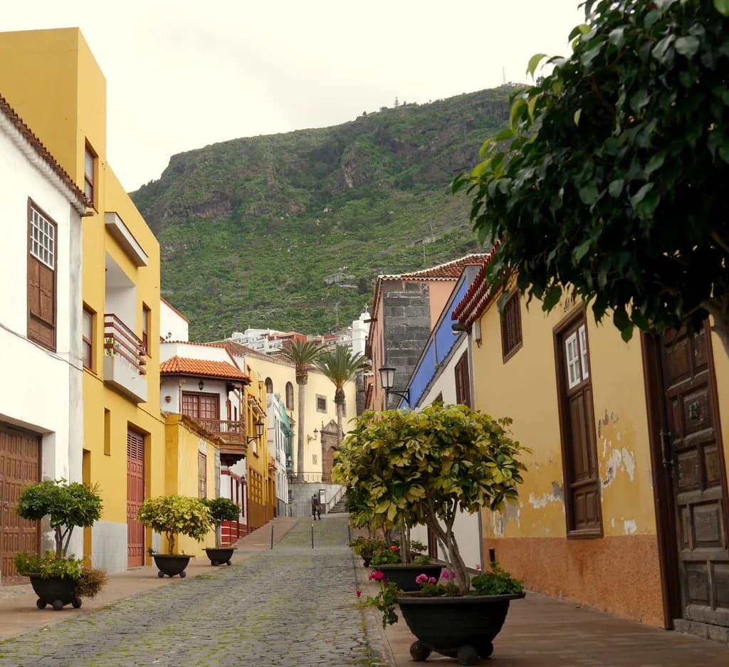 Best Restaurants in Tenerife: Where to Eat by Area