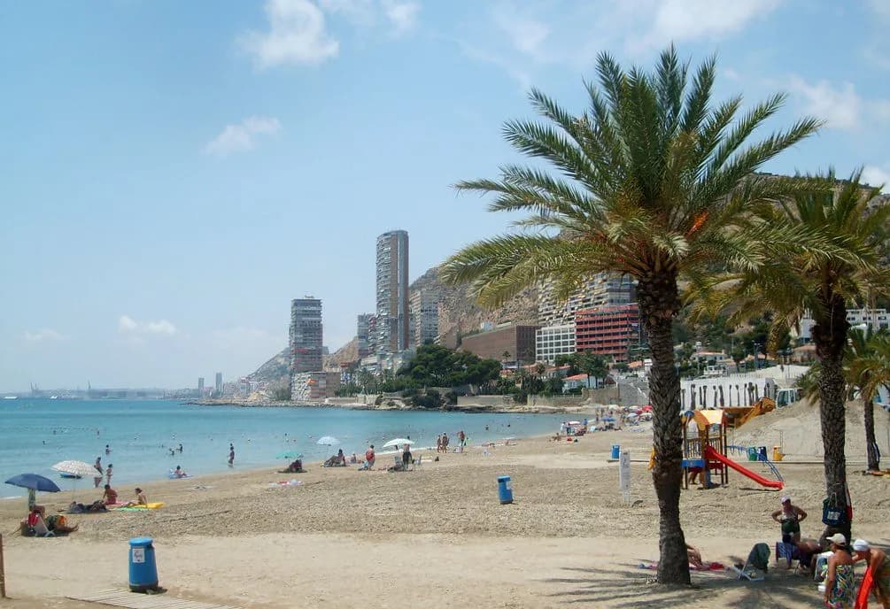 Best Tapas in Alicante: Bars Worth Your Evening