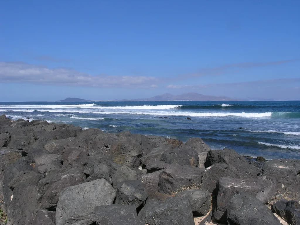 Best Tapas in Fuerteventura: Where to Eat and What to Order