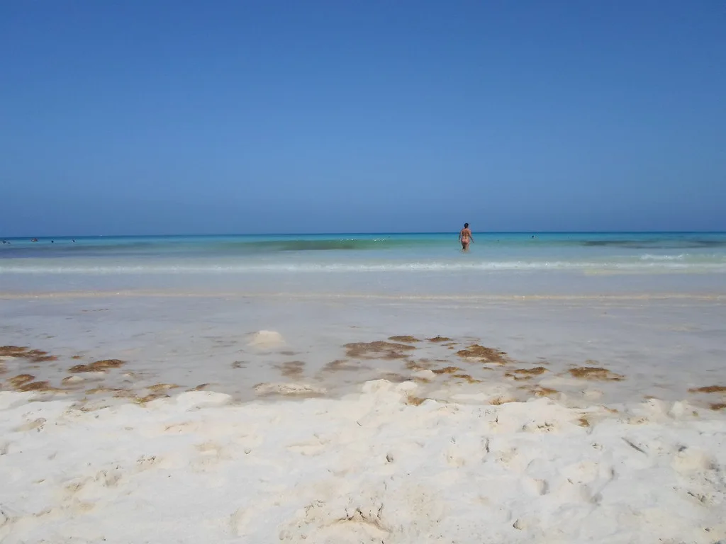Caleta de Fuste: Fuerteventura's Family Resort, Weighed Up