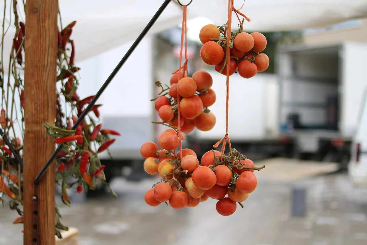 Girona Markets: Food Halls, Weekly Stalls and Flea Markets