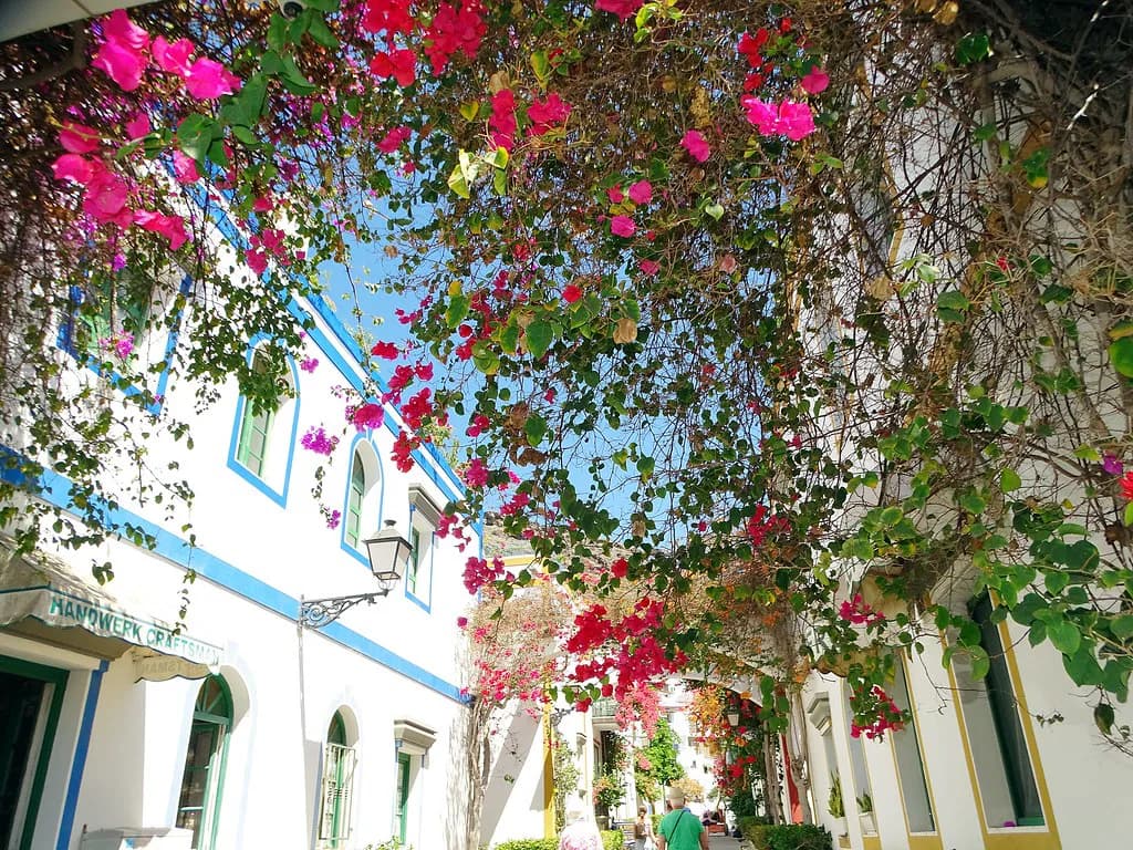 How Many Days in Gran Canaria? 3, 5 or 7 Days