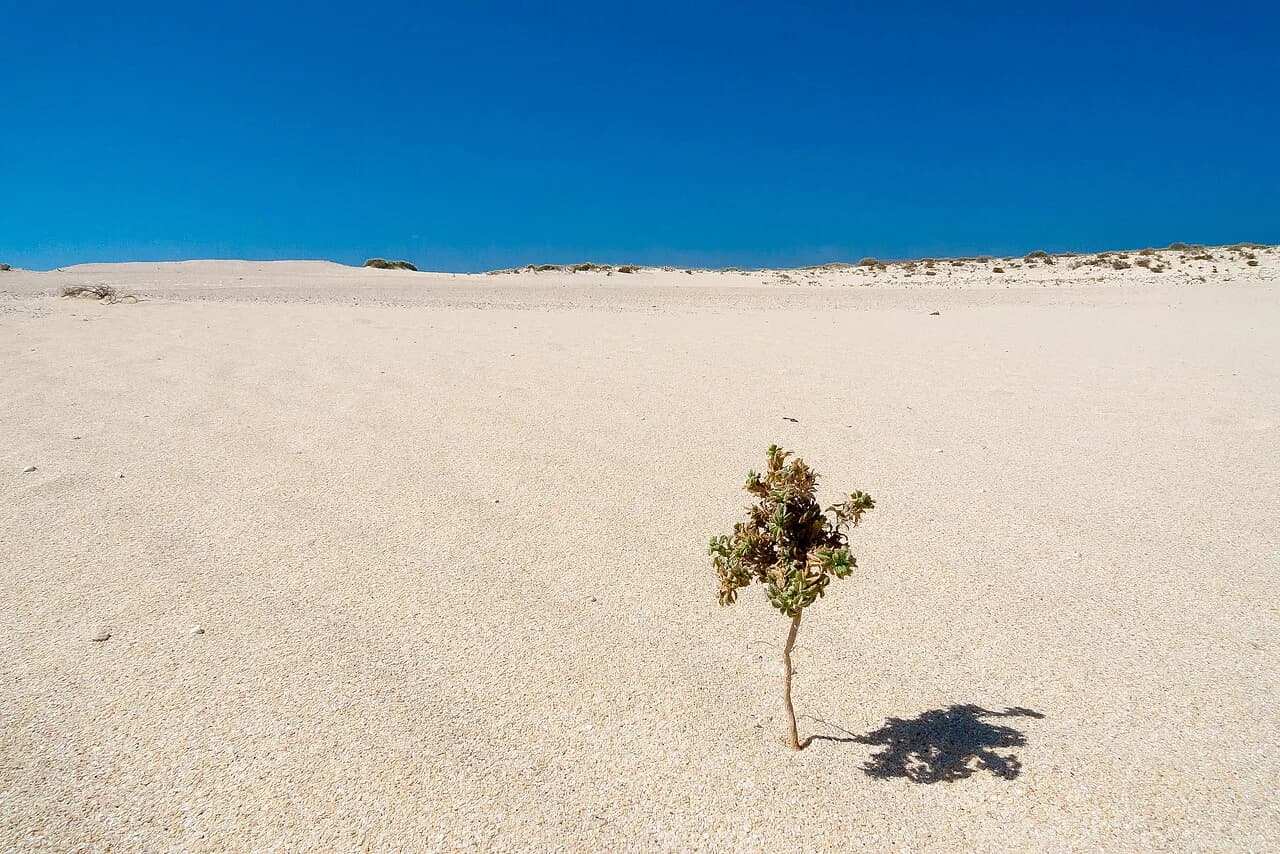 Fuerteventura Attractions: 4 Visitor Guides