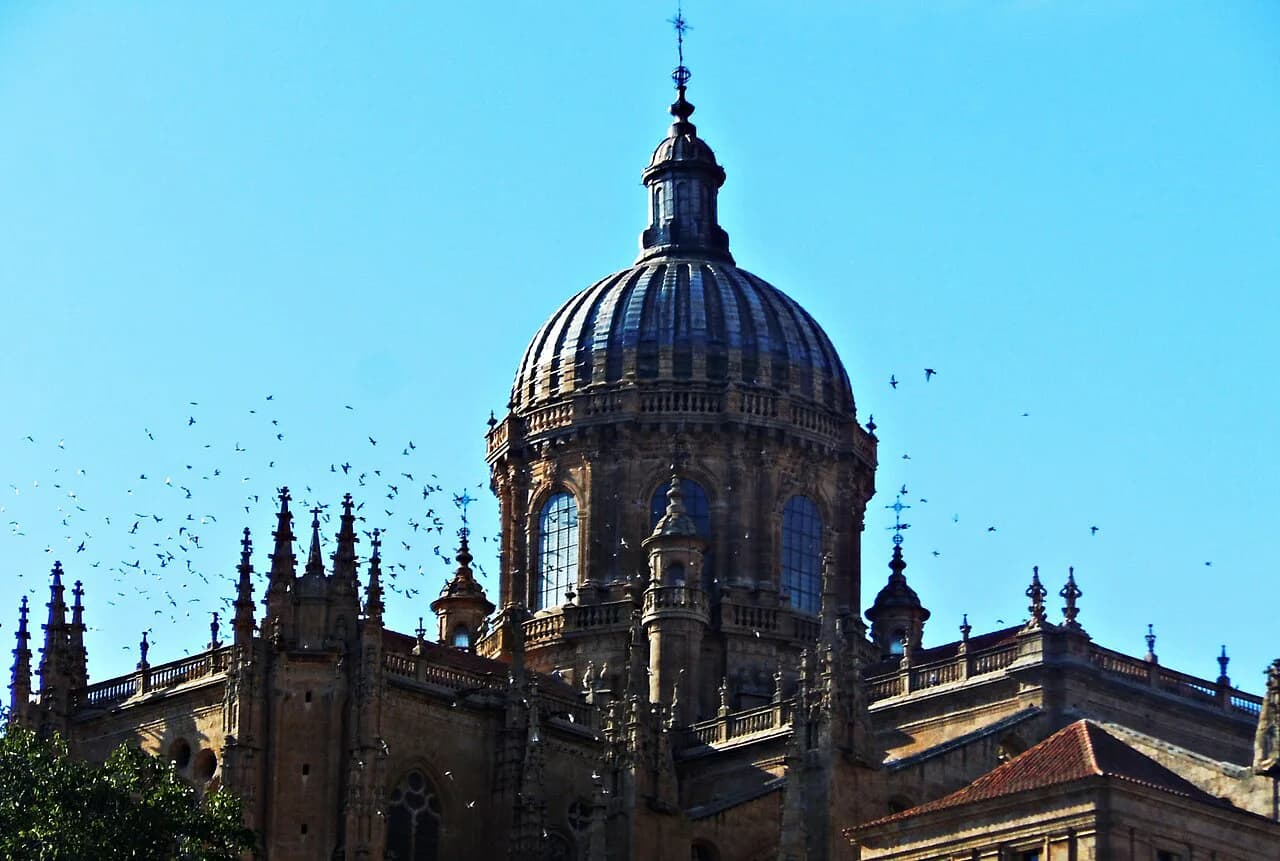 Salamanca Attractions: 4 Visitor Guides