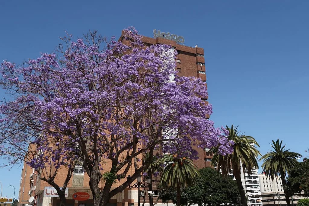 Málaga in July: Weather, Crowds and How to Plan Your Days