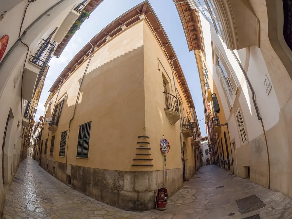 Palma in October: Weather, Crowds and What's On