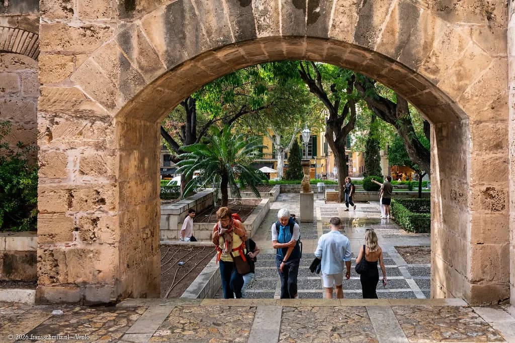 Palma Markets: Which Market to Visit and When