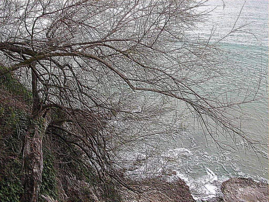 Santander in August: Weather, Crowds and What to Do