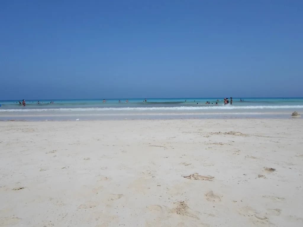 Shopping in Fuerteventura: Where to Go and What to Buy