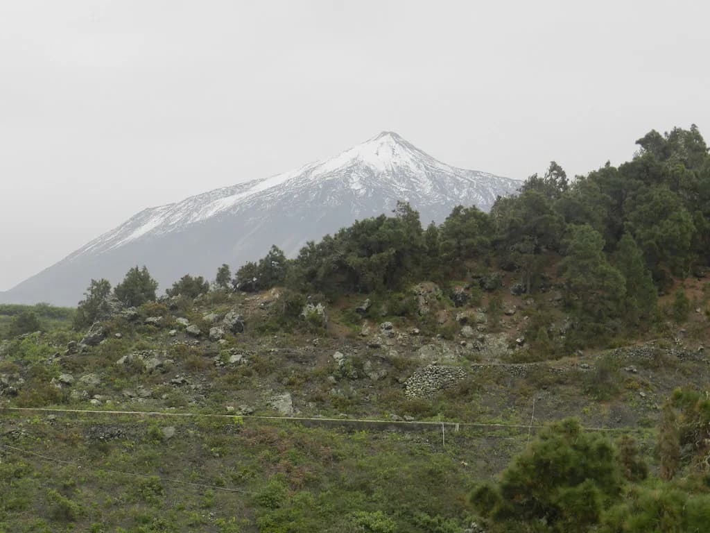 Tenerife in July: Weather, North vs South and What to Do