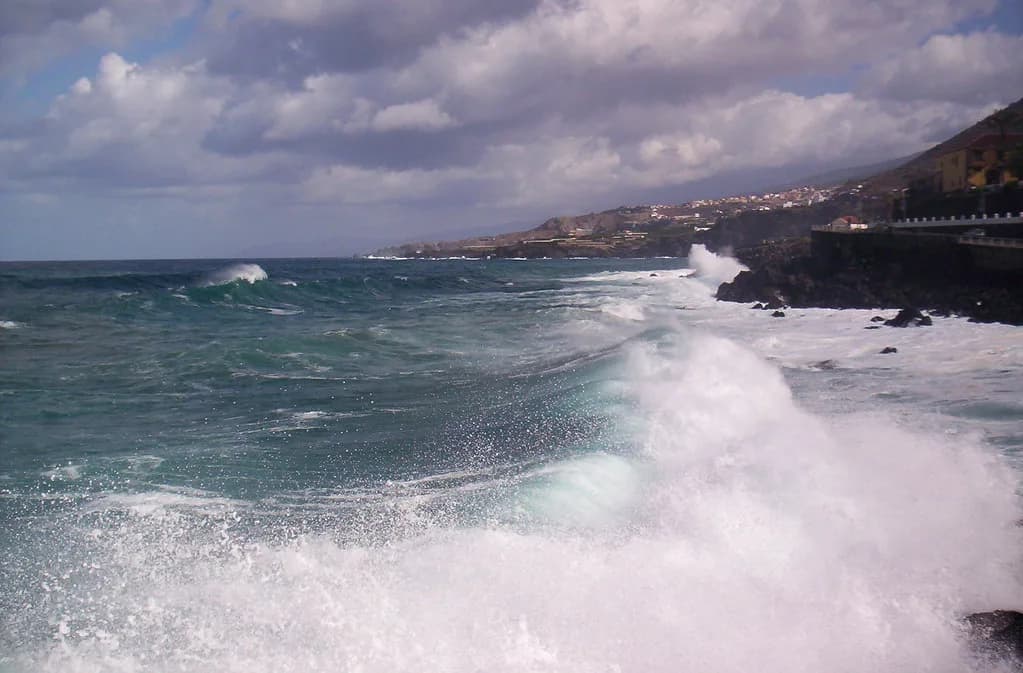 Tenerife Seafood Restaurants: Where to Eat Fish by the Sea