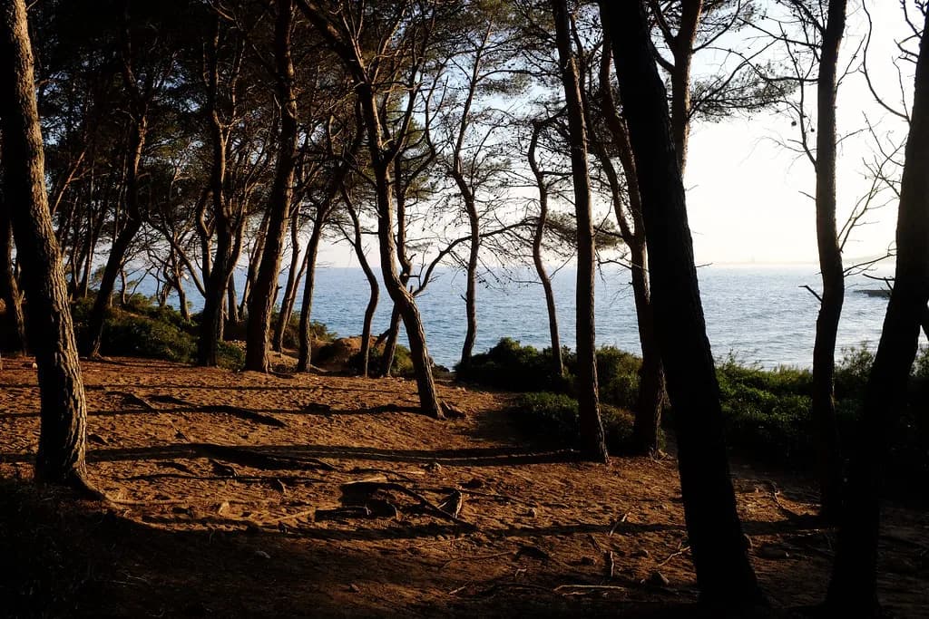Things to Do in Tarragona: What to See and Plan