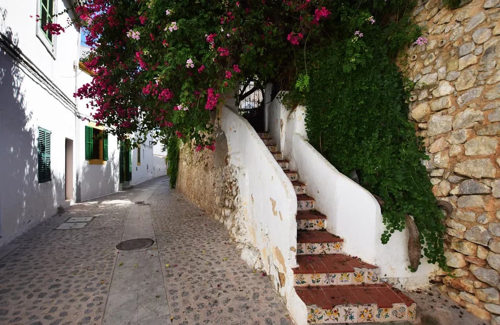 Ibiza Food: What to Eat, What's in It and How to Order It