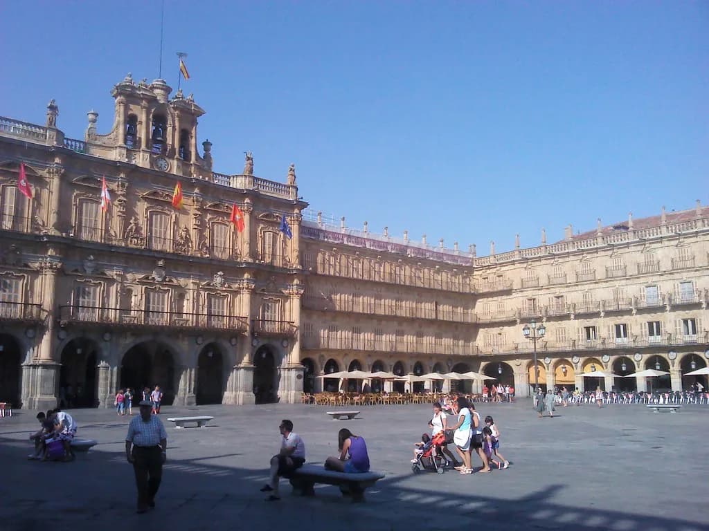 Best Restaurants in Salamanca: Where to Eat by Area