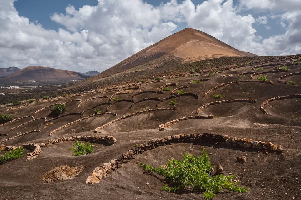 Lanzarote in July: Weather, Crowds and What to Do