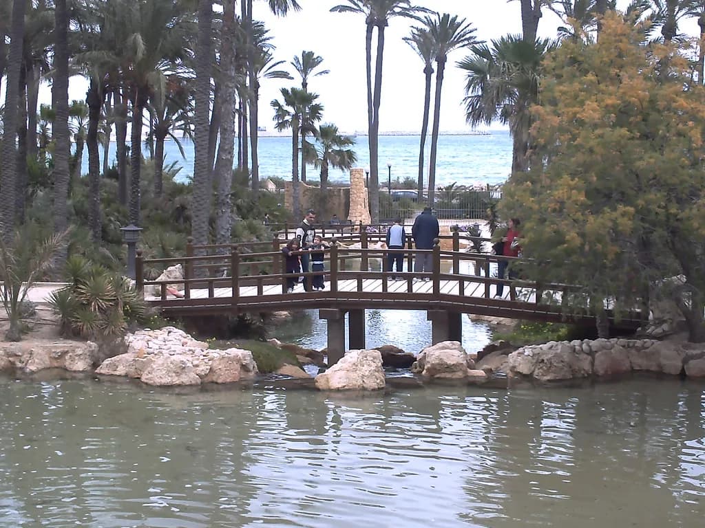 El Palmeral, Alicante: Palm Park Guide for Visitors