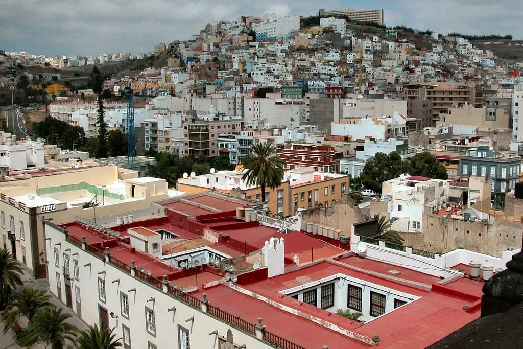 Gran Canaria Food: What to Eat and Where to Try It