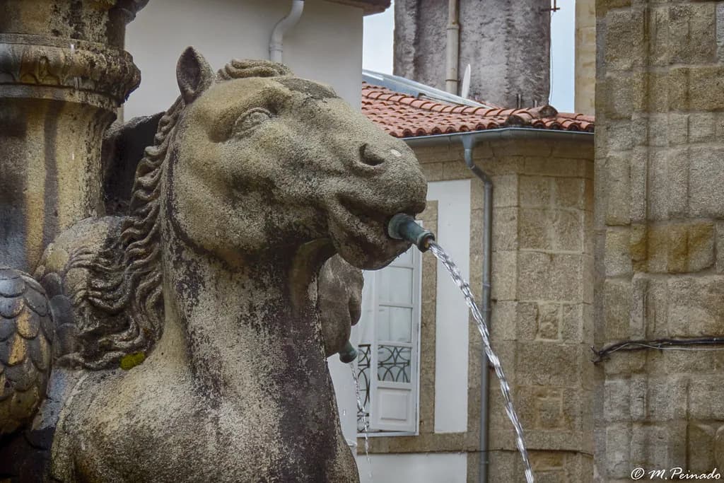 Santiago de Compostela Food Guide: What to Eat and Where