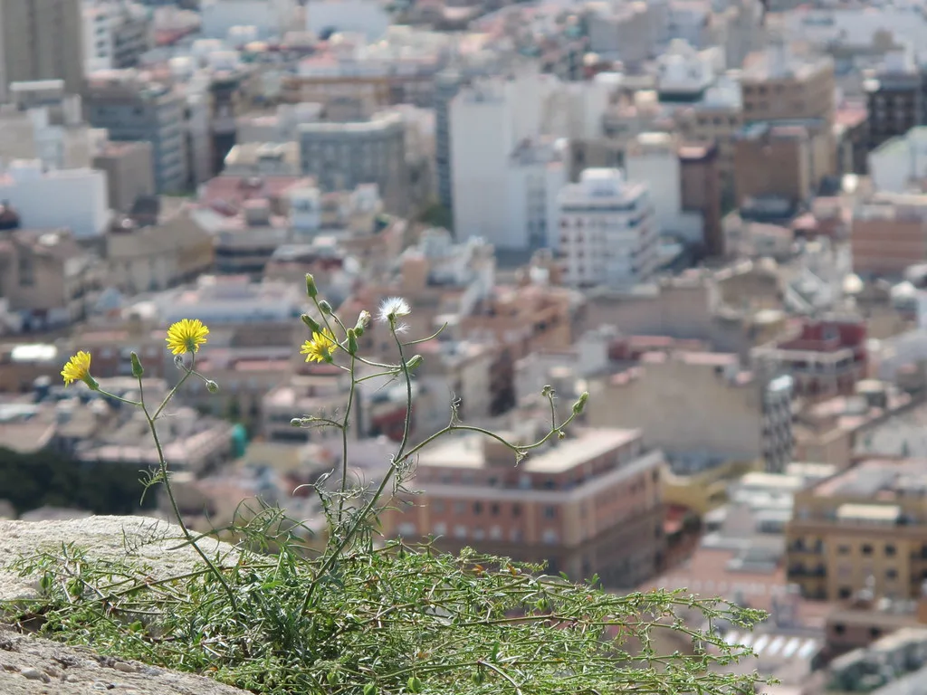 Alicante, Spain
