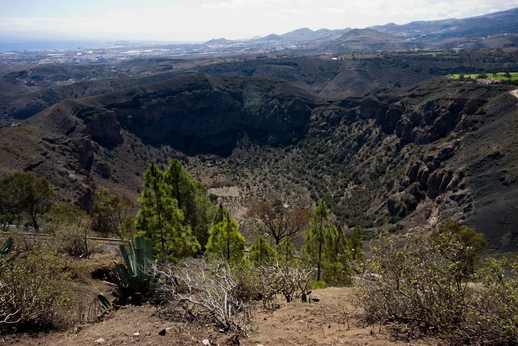 Ruta de la Caldera de Bandama - Gran Canaria