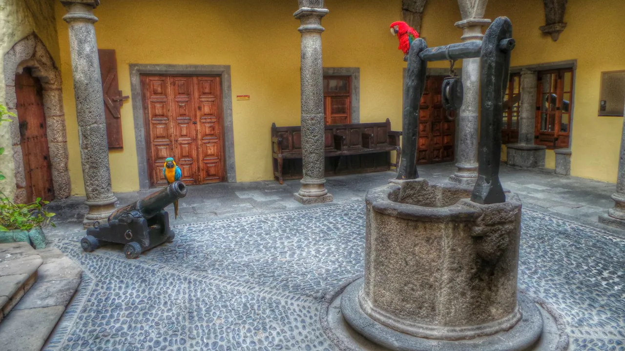Chicha y Yaiza Guacamayos de la Casa Museo Colón Vegueta Las Palmas de Gran Canaria