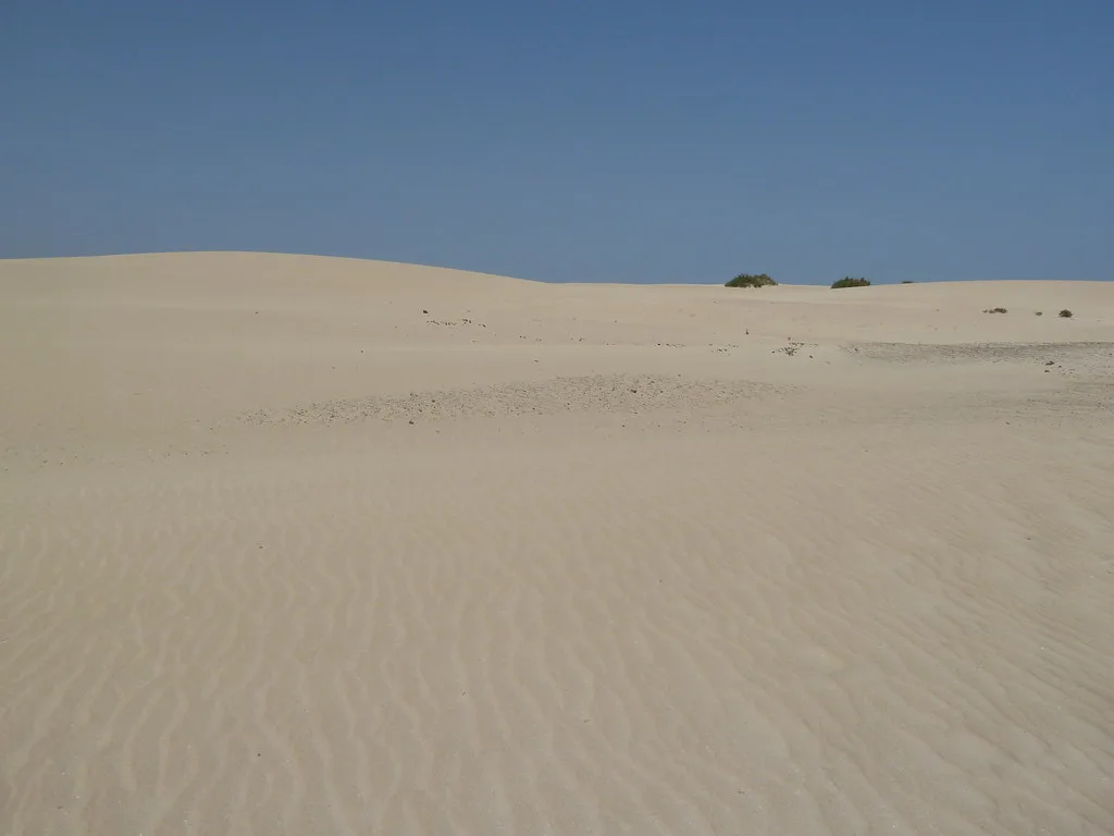 Beach and Dunes south of Corralejo, Fuerteventura