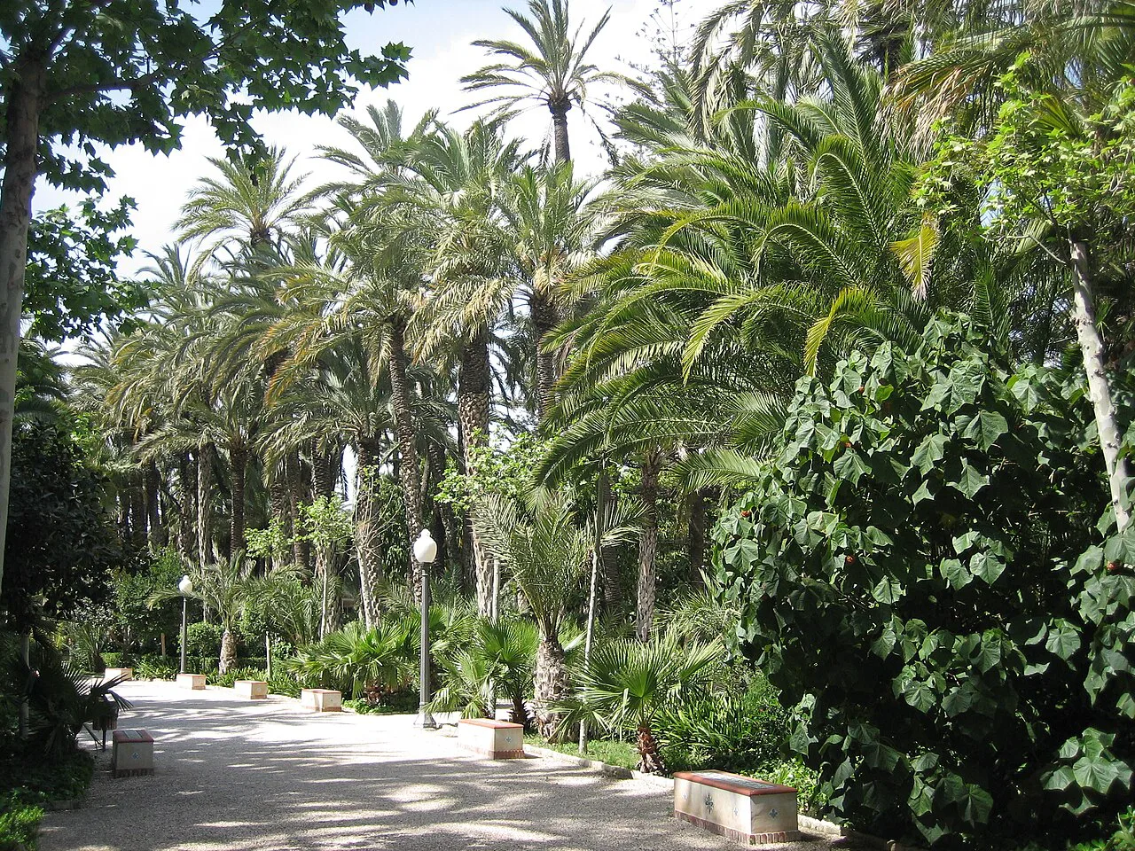 Elche - parque municipal, Alicante
