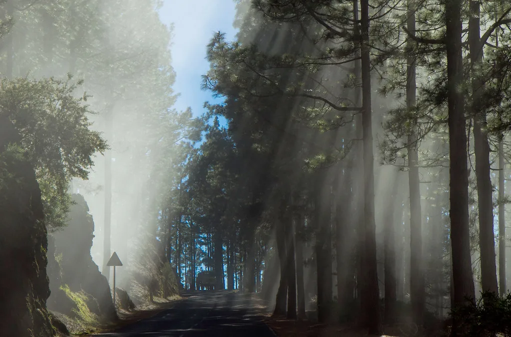 Light through fog - Teide national park, Tenerife
