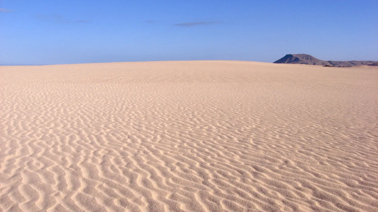 View of the paths winding through the sand dunes of the Parque Natural de las Dunas de Corralejo.