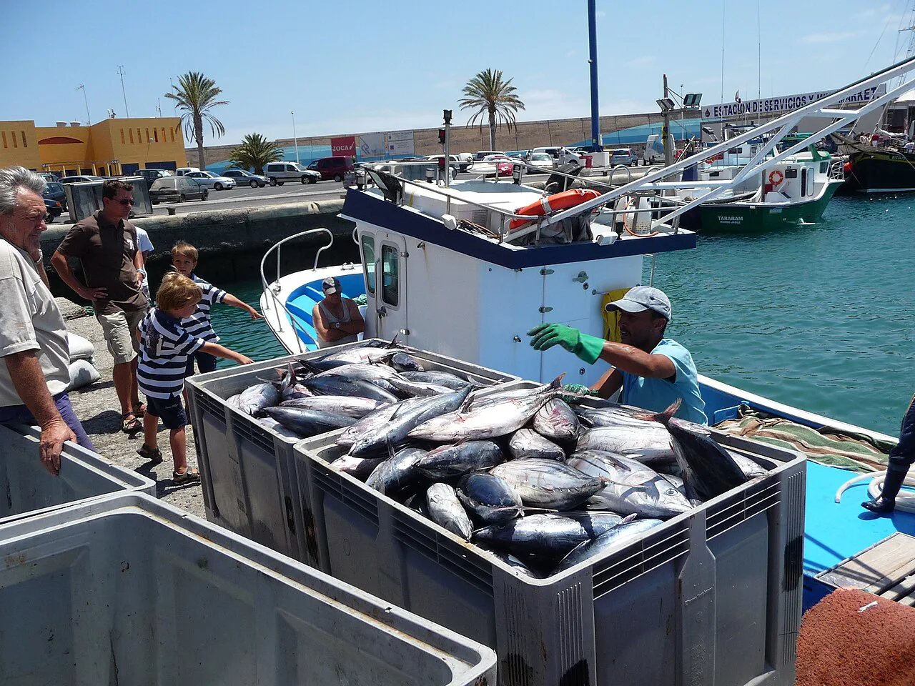 Fuerteventura Fischerboot im Hafen Fisch