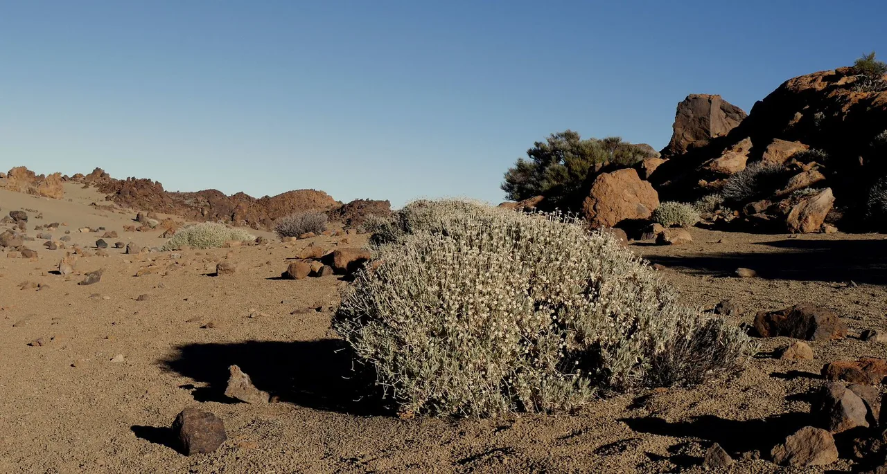 Teide Tenerife