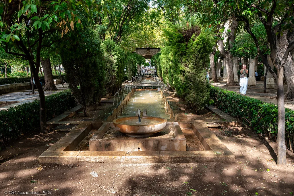 Palma A7RII
