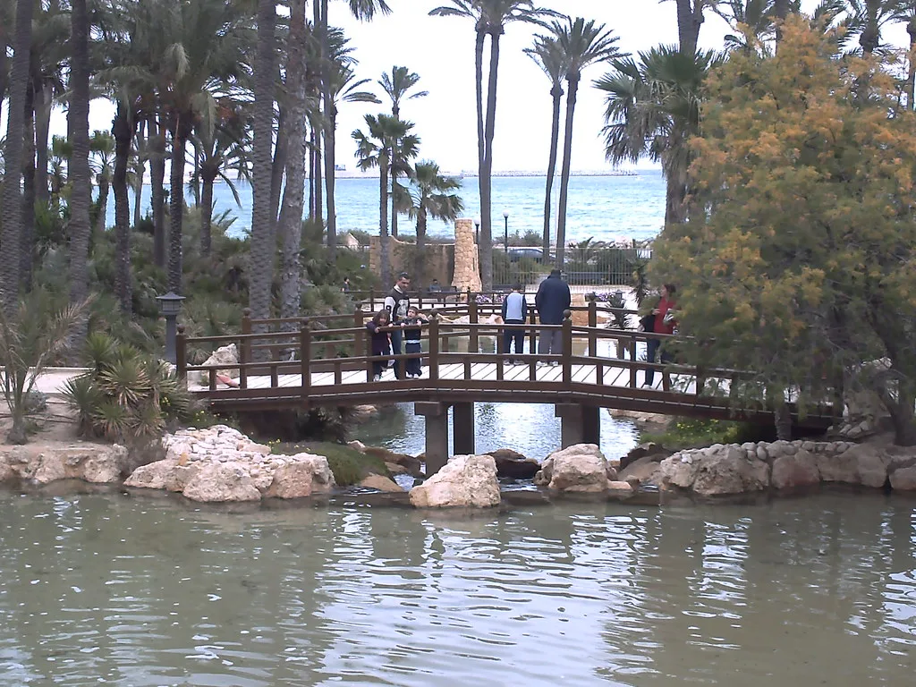 Venue view: bridge in El Palmeral park, Alicante.