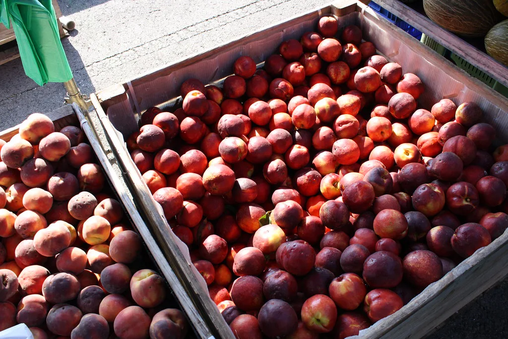 tarragona sunday market
