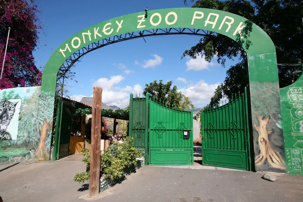 Monkey Park, Tenerife