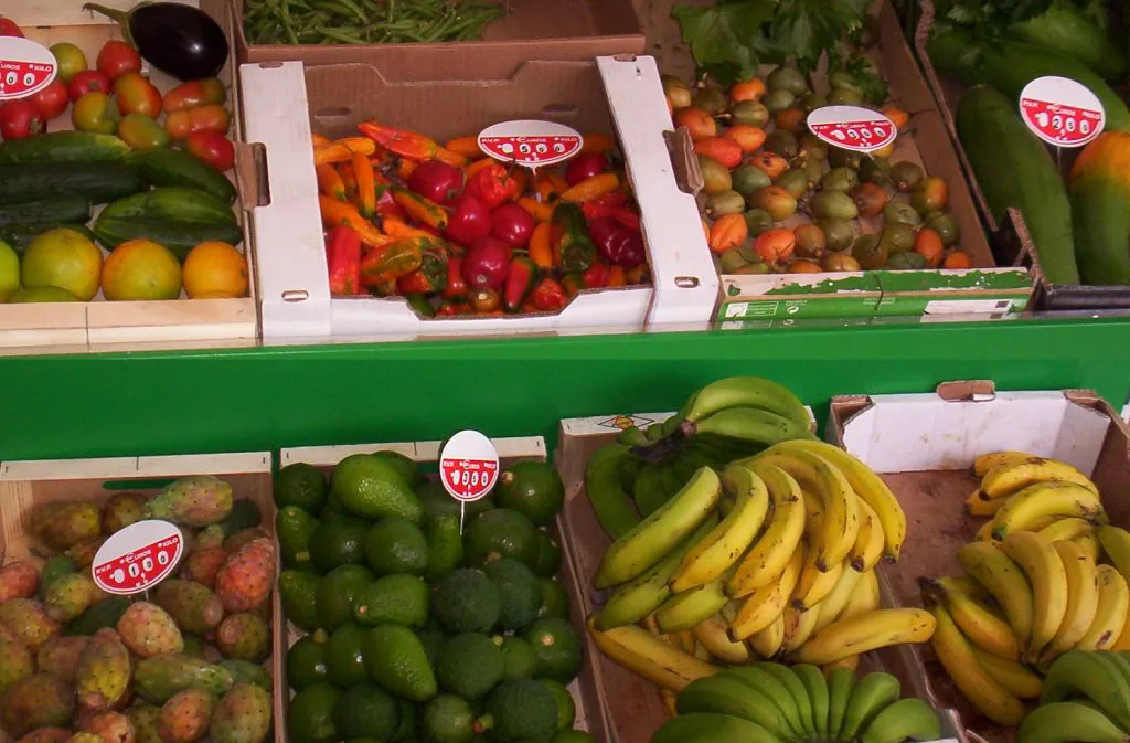 Organic Produce, Tenerife
