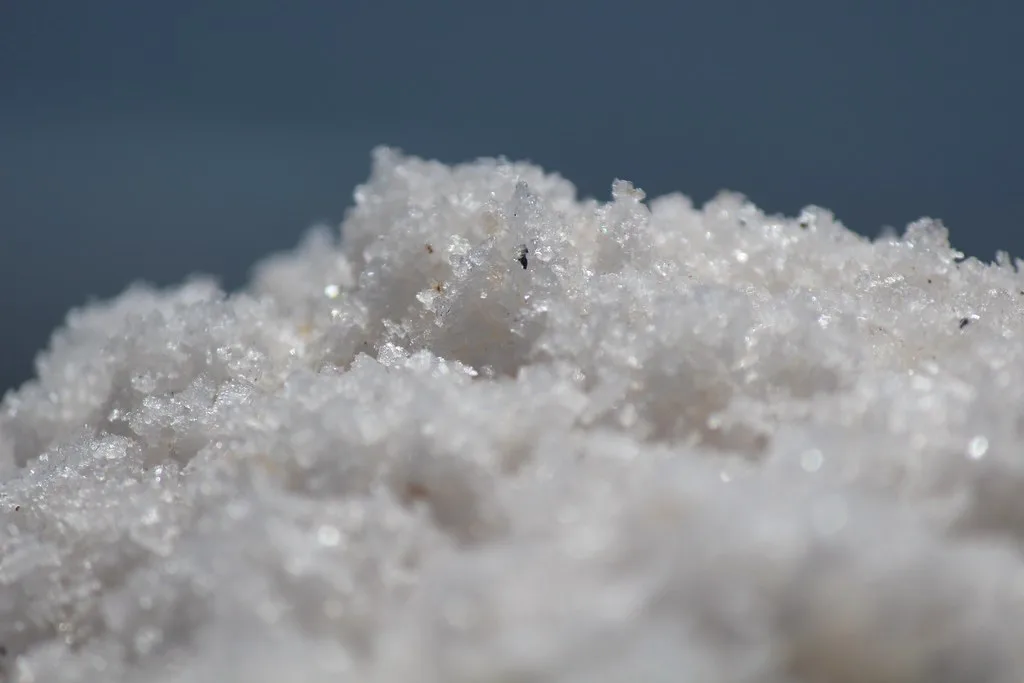 Grano salis, Fuerteventura