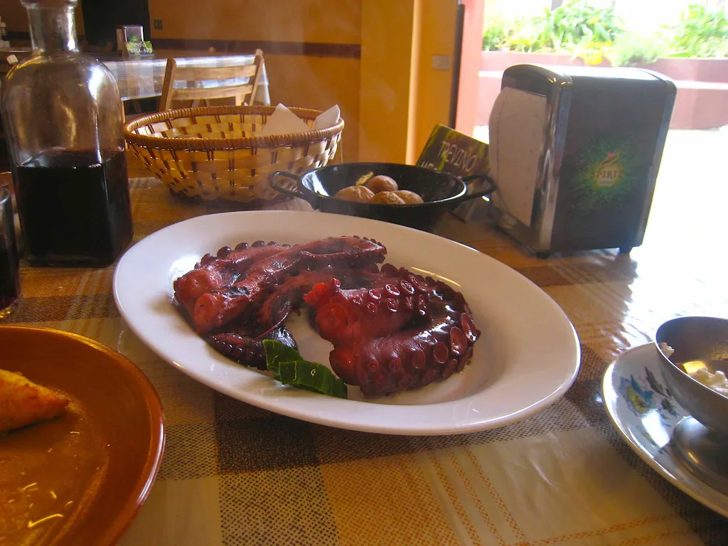 Pulpo - Octopus, Tenerife